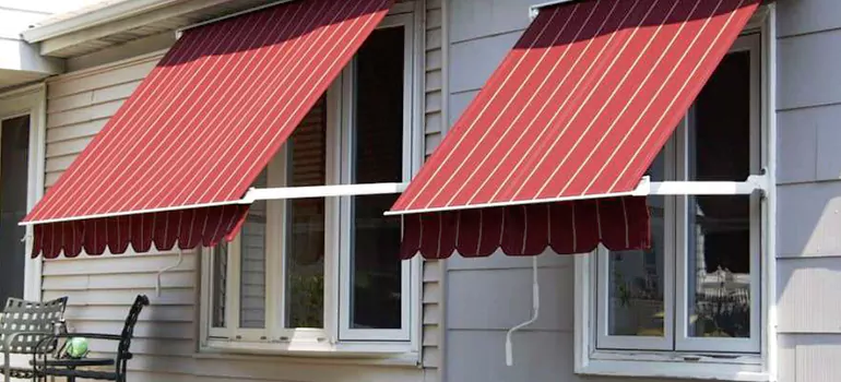 Government Rebate Window Replacement in Palm River-Clair Mel, FL